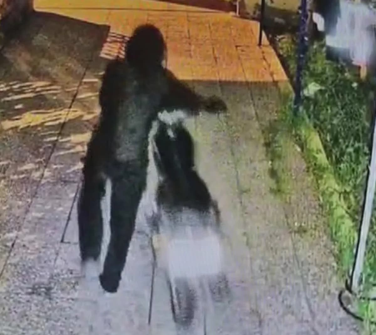 Hatay Reyhanlı'da evin avlusundan çalınan motosikletin güvenlik kamerası görüntüsü
