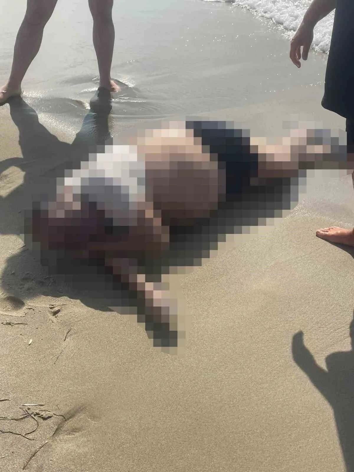 Kuşadası Sahil Siteleri Sevgi Plajı'nda bulunan Rıza Muslu'nun cansız bedeni