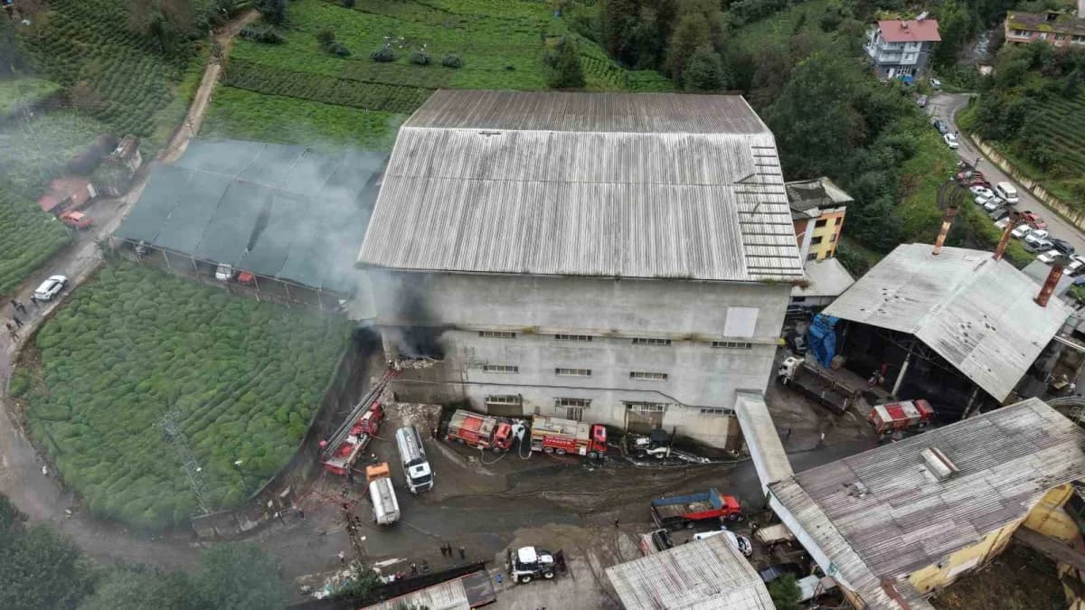 Rize Çayeli ilçesinde Okumuş Çay Fabrikası ambalaj deposunda çıkan yangın sonrası itfaiye müdahalesi