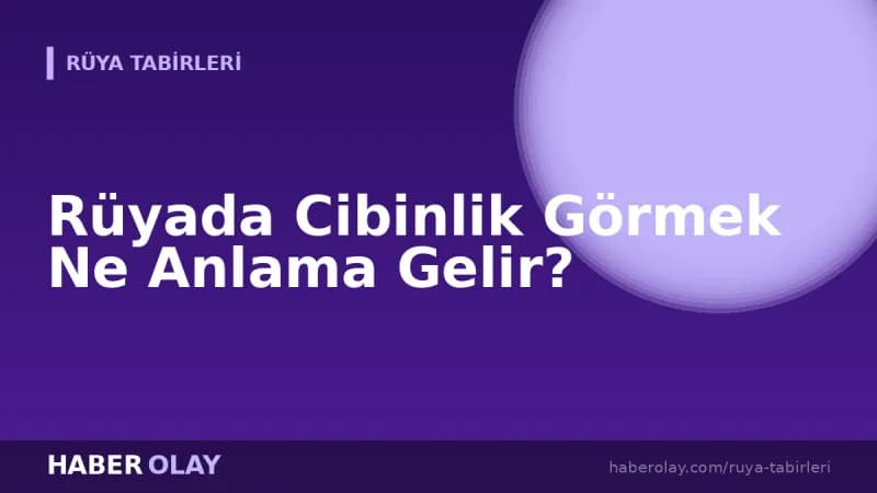 Rüyada Cibinlik Görmek Ne Anlama Gelir?