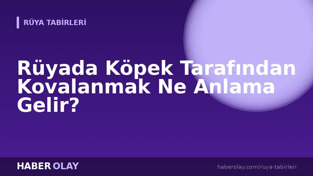 Rüyada Köpek Tarafından Kovalanmak Ne Anlama Gelir?