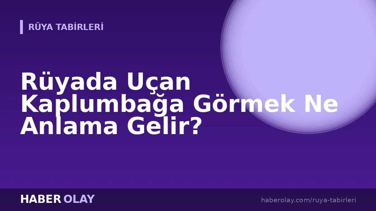 Rüyada Uçan Kaplumbağa Görmek Ne Anlama Gelir?