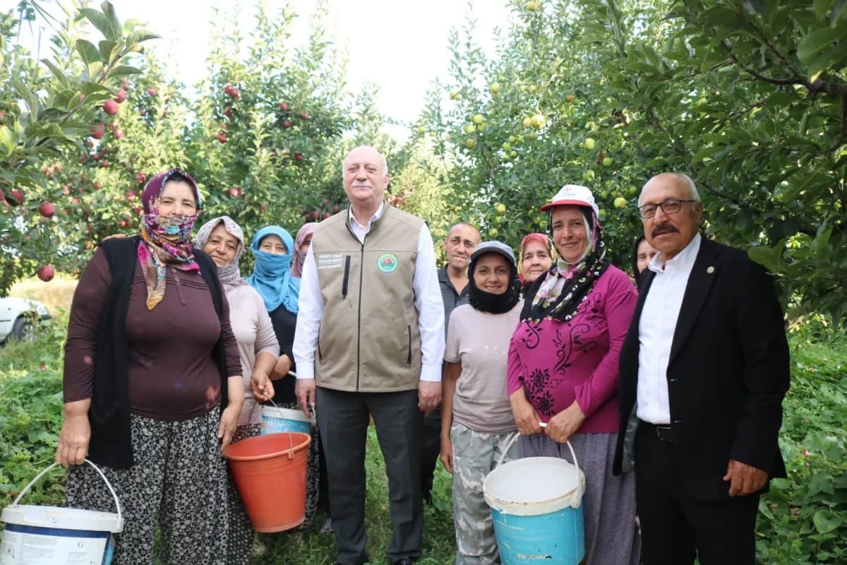 Şemsi Bayraktar Denizli Çivril’de elma bahçesinde elma hasadı yaparken üreticilerle sohbet ediyor