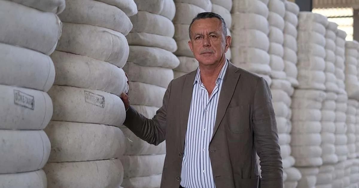 Söke TARİŞ Pamuk Kooperatifi pamuk alımı sırasında üreticiler ve pamuk tarlası