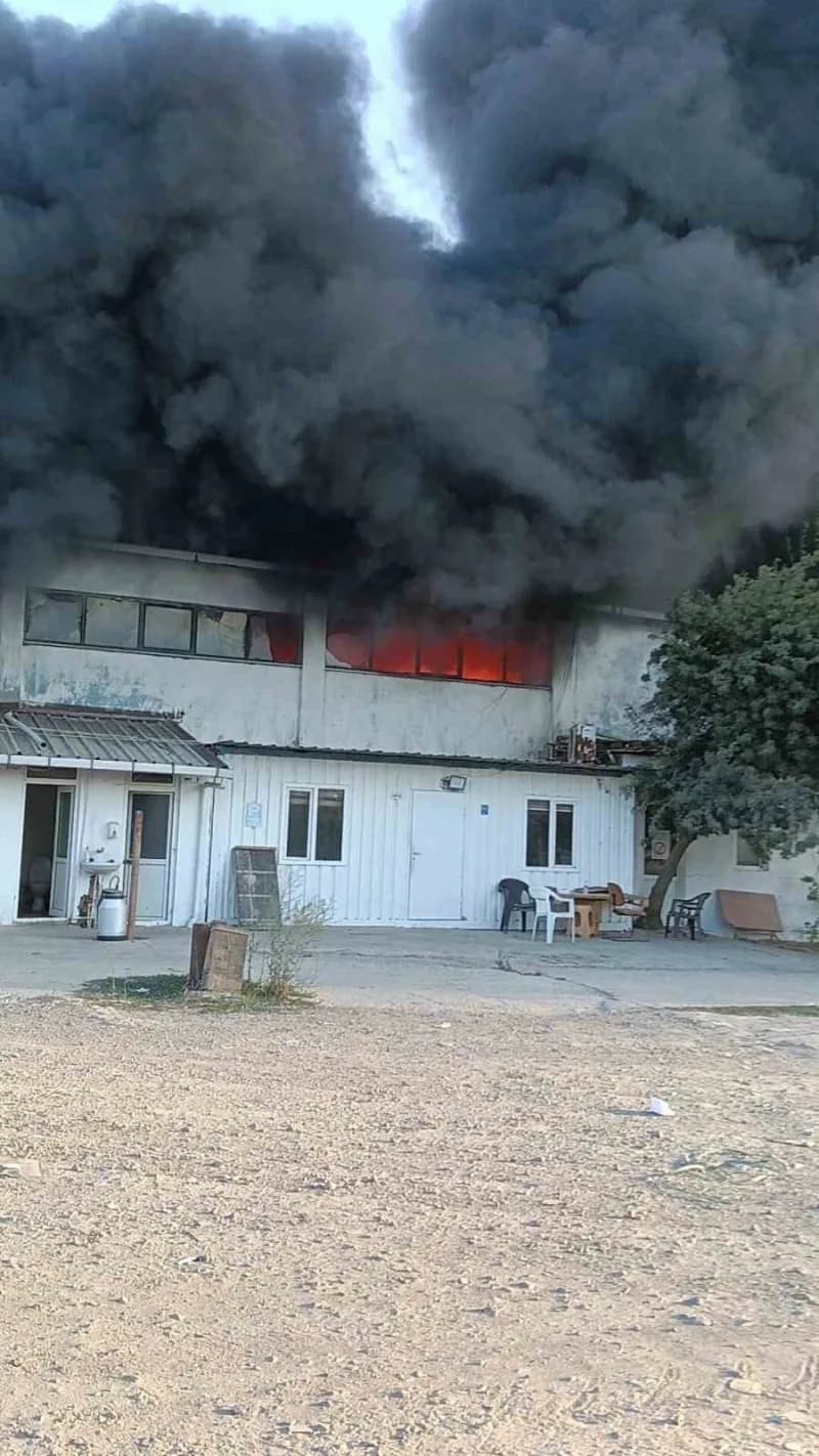 Tekirdağ Muratlı Sanayi Sitesi'nde geri dönüşüm tesisinde çıkan yangından yükselen dumanlar