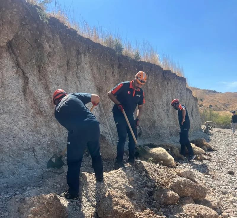 Adıyaman Kahta ilçesinde toprak kayması sonrası AFAD ekiplerinin küçükbaş hayvanları kurtarma çalışması