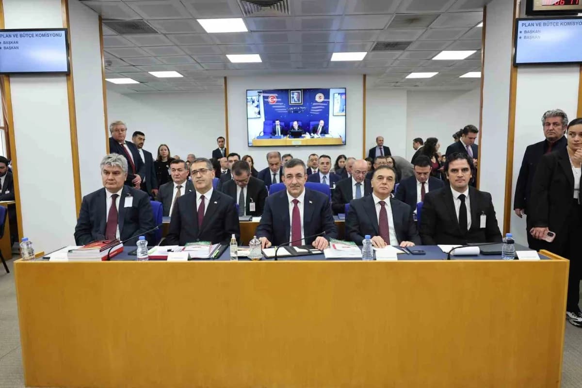 Cumhurbaşkanı Yardımcısı Cevdet Yılmaz TBMM Plan ve Bütçe Komisyonu toplantısında konuşma yapıyor