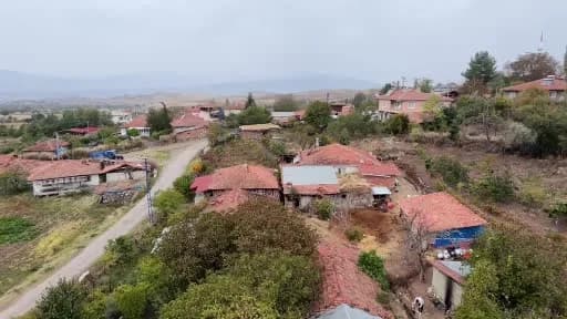Asırlık üzümün sırrı çözüldü: Gen haritası çıkarıldı, tescil süreci başlatıldı