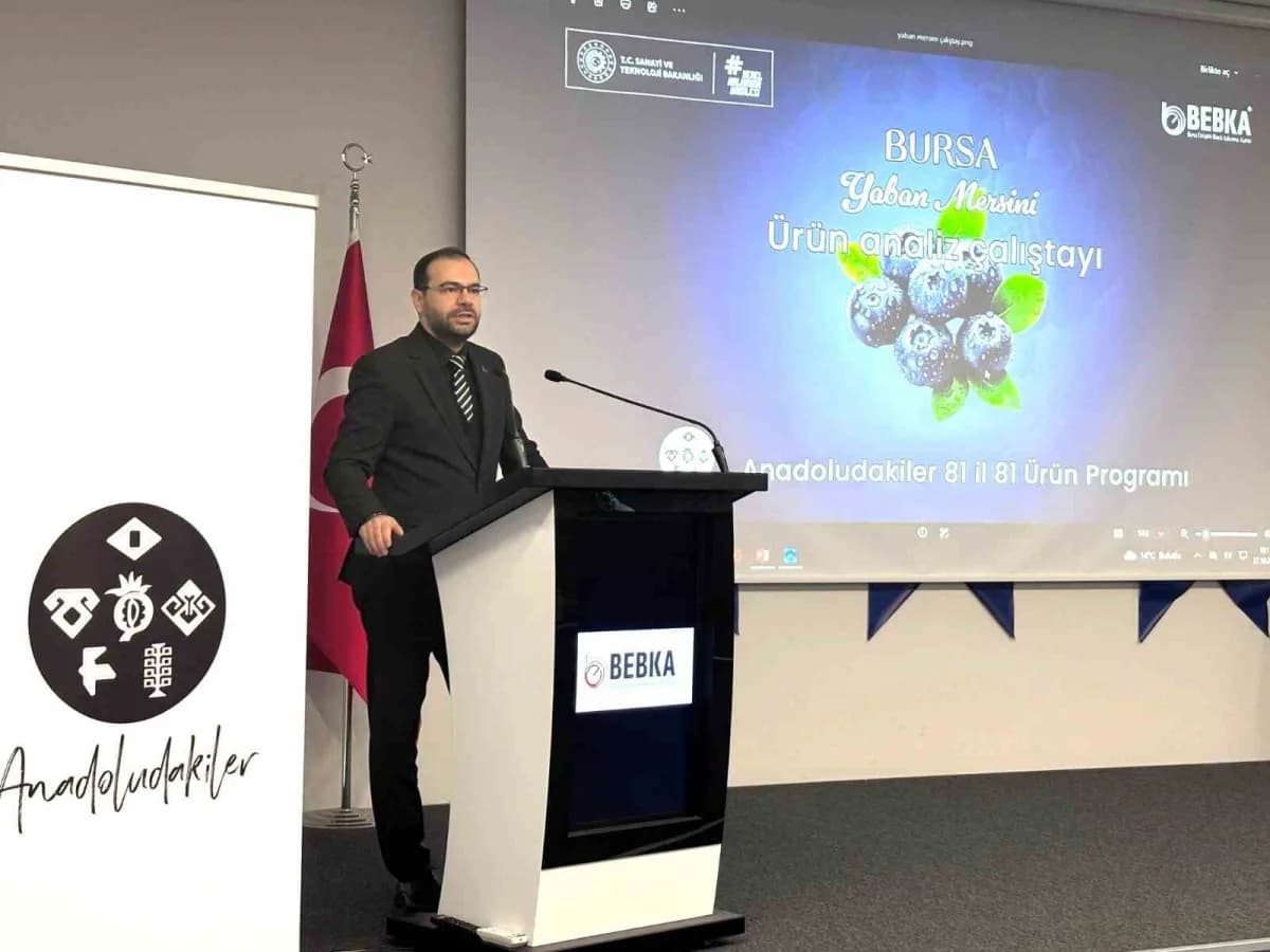 Bursa’da yaban mersini üretimi ve pazarlaması için düzenlenen çalıştaydan bir kare