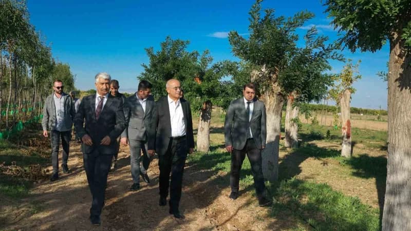 Büyükşehir’den yılda 20 bin fidan ve 50 bin metrekare rulo çim üretimi