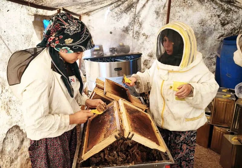 Muğla’da çam balı üreticileri arı kovanlarının yanında duruyor