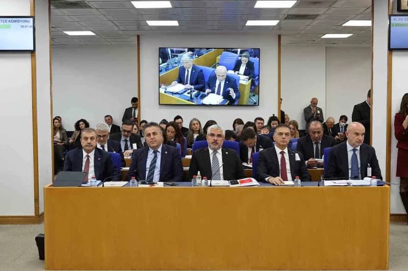 AK Parti Samsun Milletvekili Ersan Aksu TBMM Plan ve Bütçe Komisyonu toplantısında konuşma yaparken