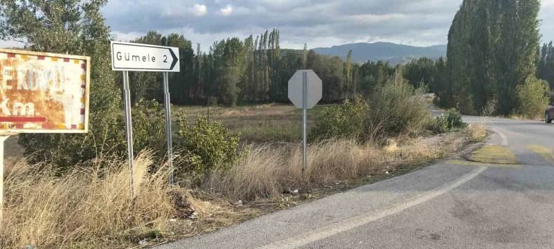 Gediz ilçesi Gümele ve Altınkent köyü girişlerinde yol güvenliği için bariyer ve aydınlatma eksikliği