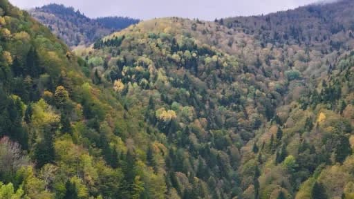 Gümüşhane’de sonbahar renkleriyle Örümcek Ormanları ve İmera Manastırı manzarası