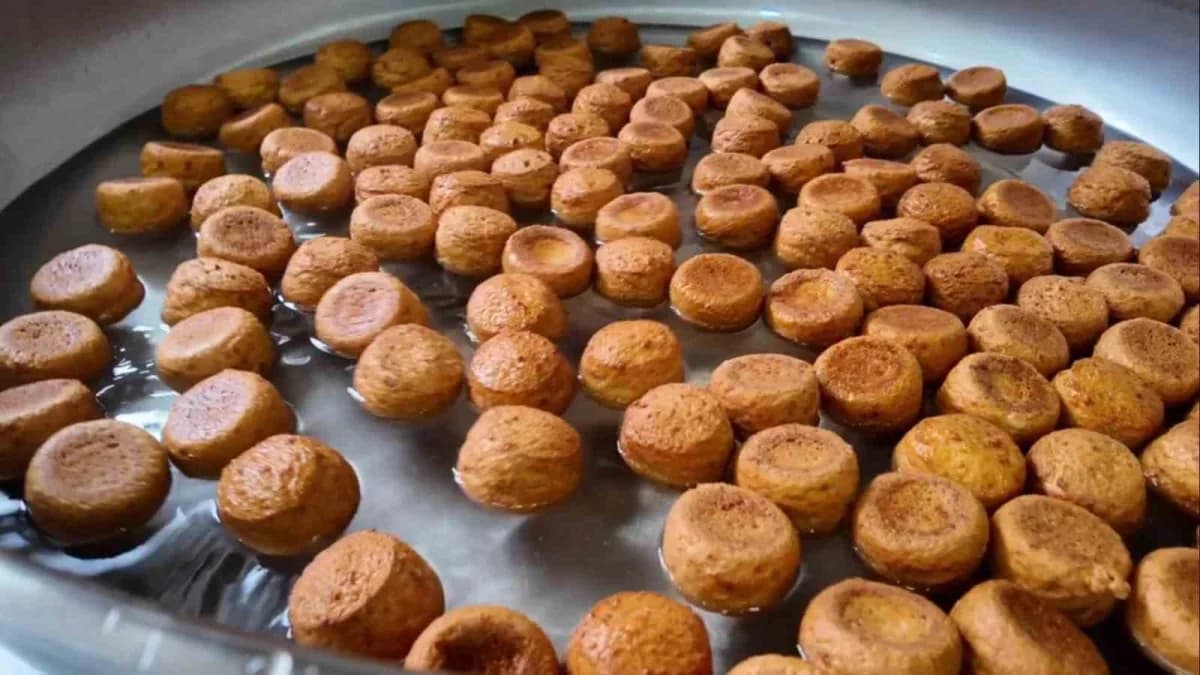 Tekirdağ Hayrabolu Tatlısı, peynirli ve tahinli yöresel tatlı tabağı