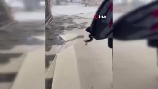 Riyad Kral Halid Uluslararası Havalimanı terminal binası ve çevresi