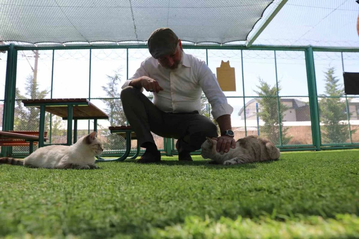 Kayseri’de ilk olan ‘Küçük Dostlar Kedi Kasabası’ ziyaretçi akınına uğruyor