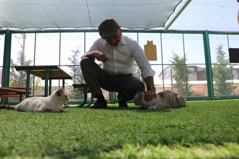 Kayseri’de ilk olan ‘Küçük Dostlar Kedi Kasabası’ ziyaretçi akınına uğruyor
