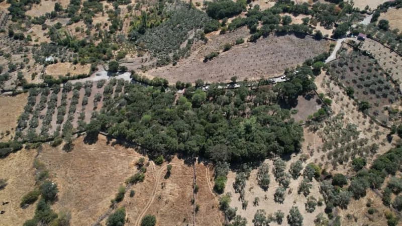 Manisa Yunusemre ilçesindeki tarihi mezarlıkta Manisa Büyükşehir Belediyesi ekiplerinin bakım ve tel örgü çalışması yapm
