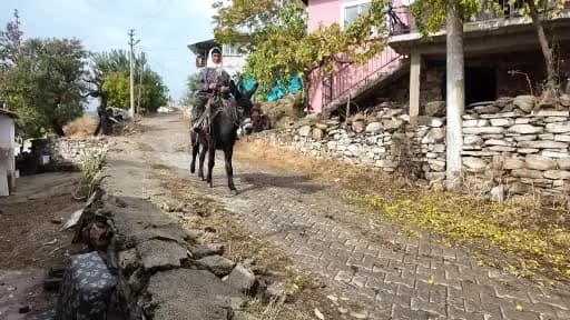 Manisa’da dağlardan toplayıp ilaç ve kozmetik devlerine satıyorlar
