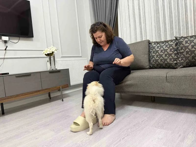 Mardin’de bir aile, Aydın’dan aldıkları köpeğin vaat edilenden farklı olduğunu belirtiyor