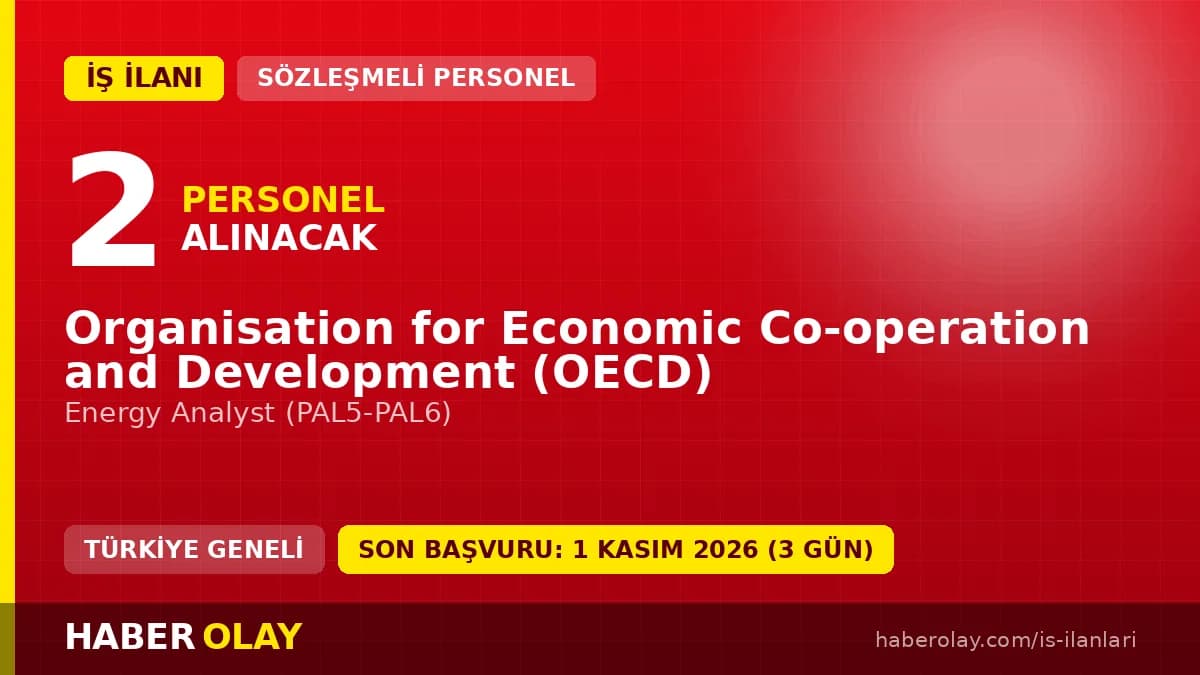 OECD Paris'te 2 Energy Analyst pozisyonu için personel alımı başladı
