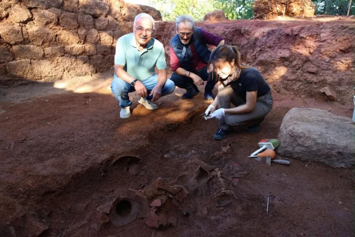 Ordu'da 2300 yıllık Kurul Kalesi arkeolojik kazı alanında yürütülen kazı çalışmaları