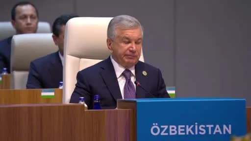 Özbekistan Cumhurbaşkanı Şevket Mirziyoyev, Türk Devletleri Teşkilatı zirvesinde konuşma yaparken