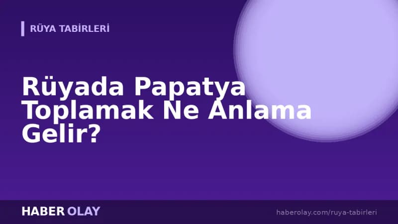 Rüyada Papatya Toplamak Ne Anlama Gelir?