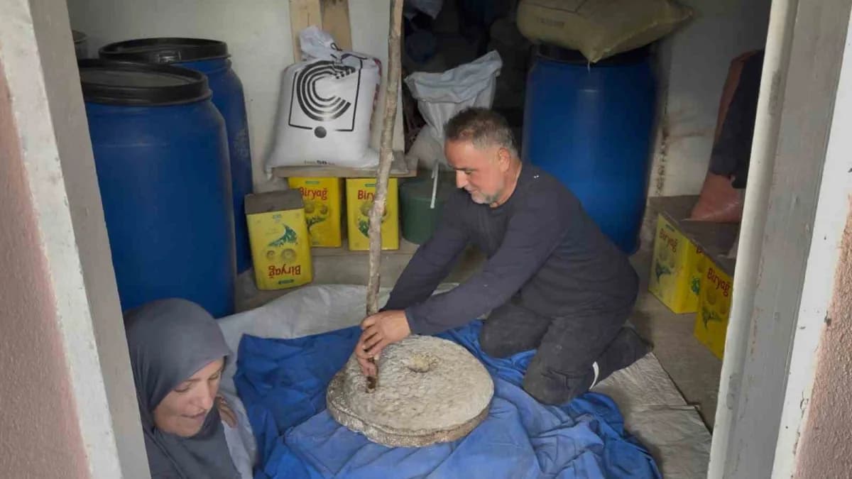 Sakarya Kaynarca'da Aziz ve Vasfiye Ceylan çiftinin evlerinin altındaki taş değirmende darı öğütme işlemi