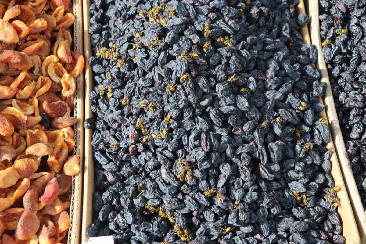 Sivas’ta yaban arıları tezgahların davetsiz misafirleri oldu