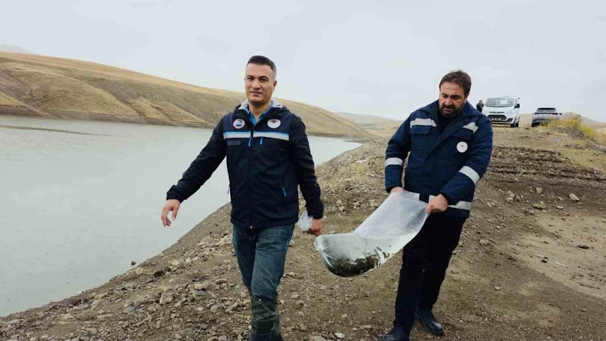 Van’da su ürünleri yetiştiricilik tesisleri ve Van Gölü’nde inci kefali avcılığı